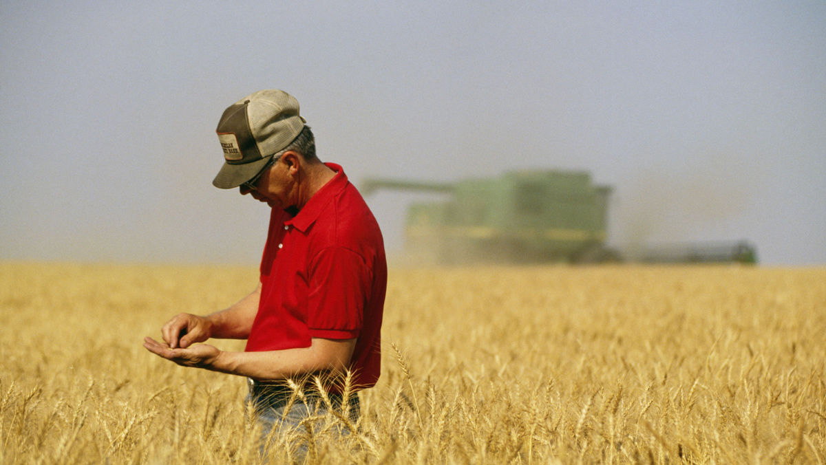 Solitary farmer